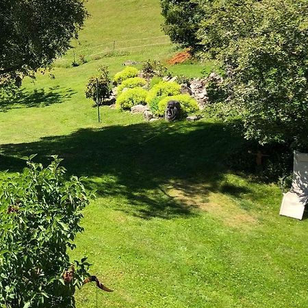 Apartmán Haus Jurisch Urberg Exteriér fotografie