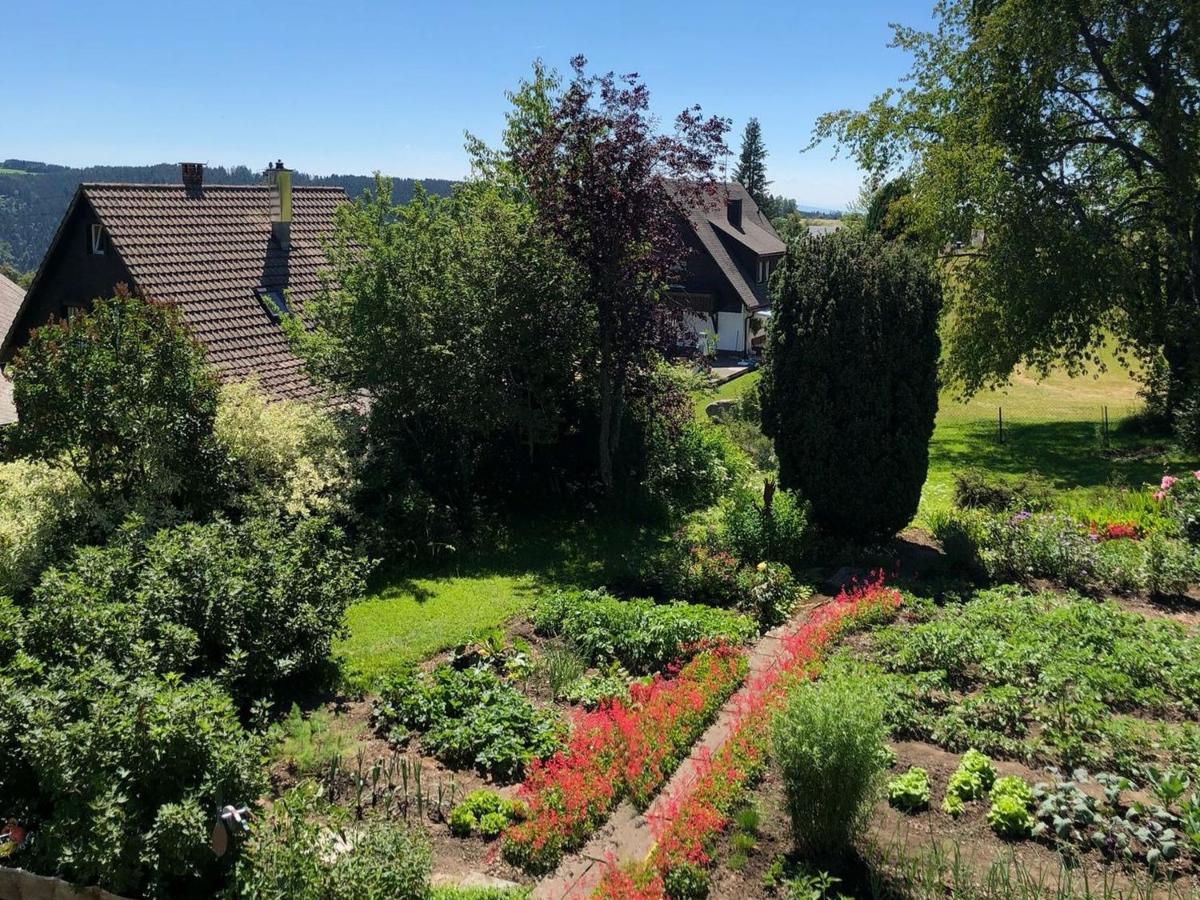 Apartmán Haus Jurisch Urberg Exteriér fotografie
