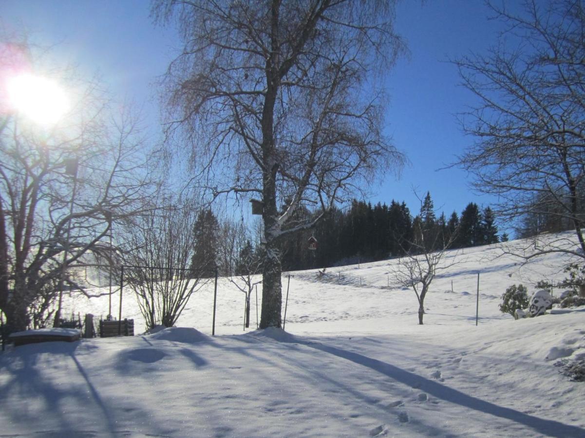 Apartmán Haus Jurisch Urberg Exteriér fotografie